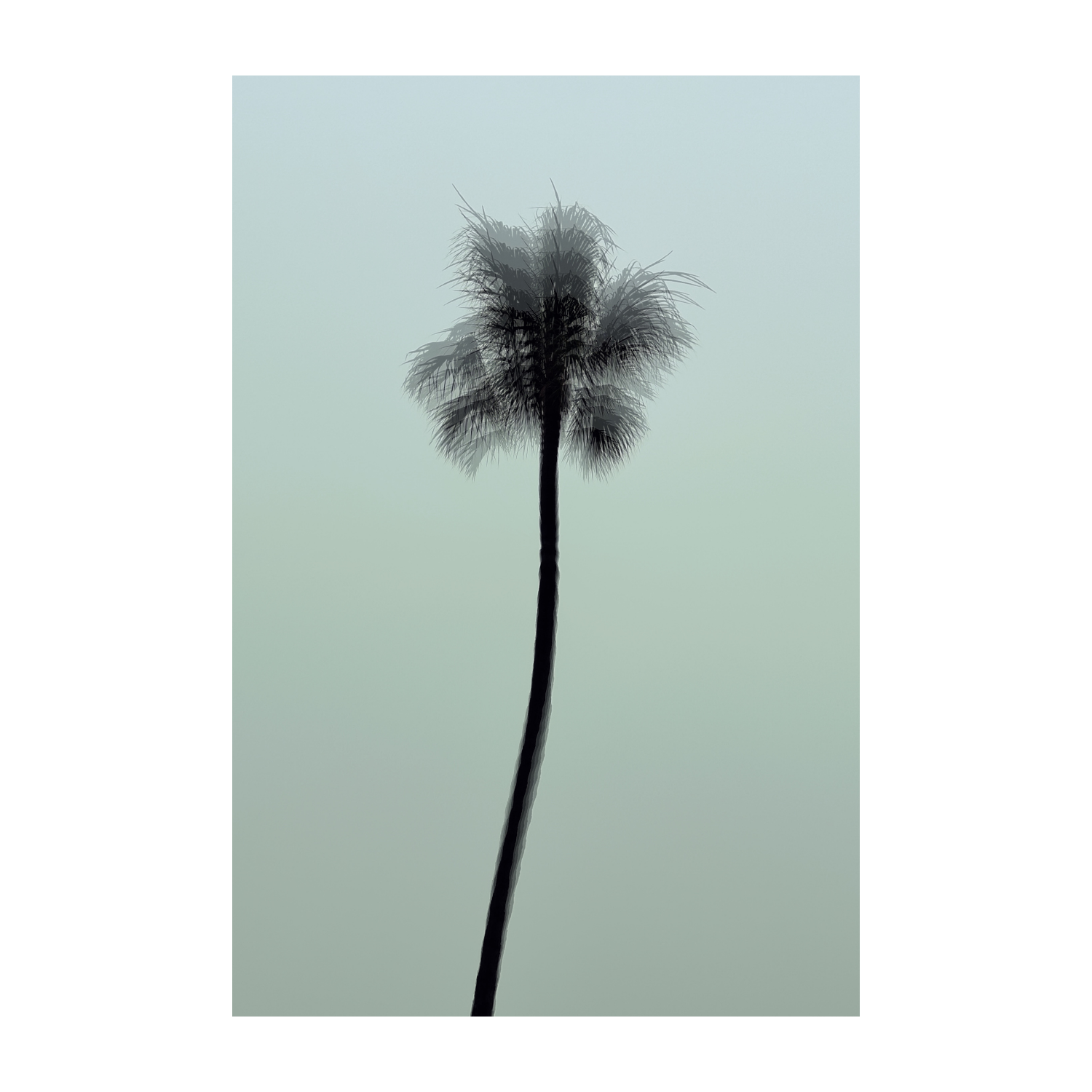 California Minimal