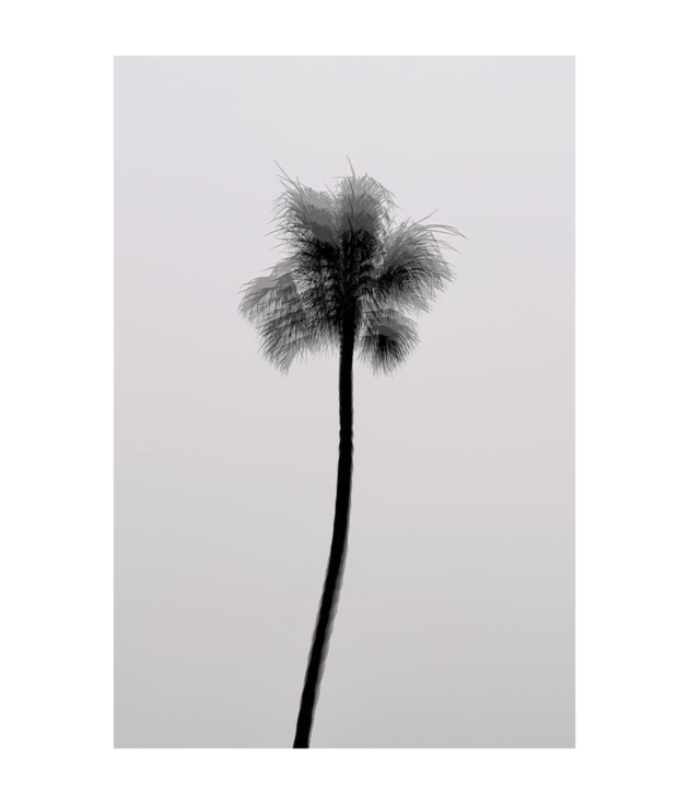 Electric Palm