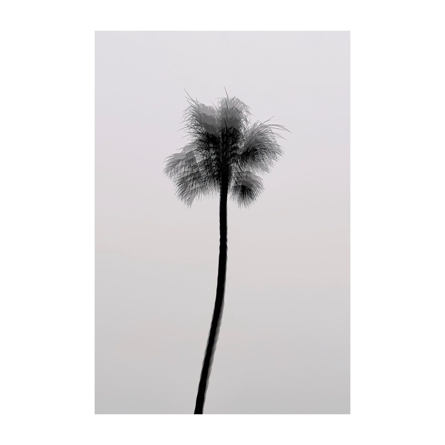 Electric Palm