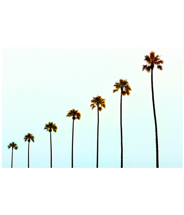 CALIFORNIA RISING