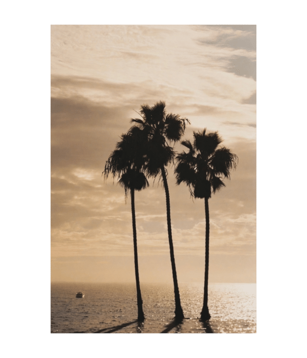 Endless Summer