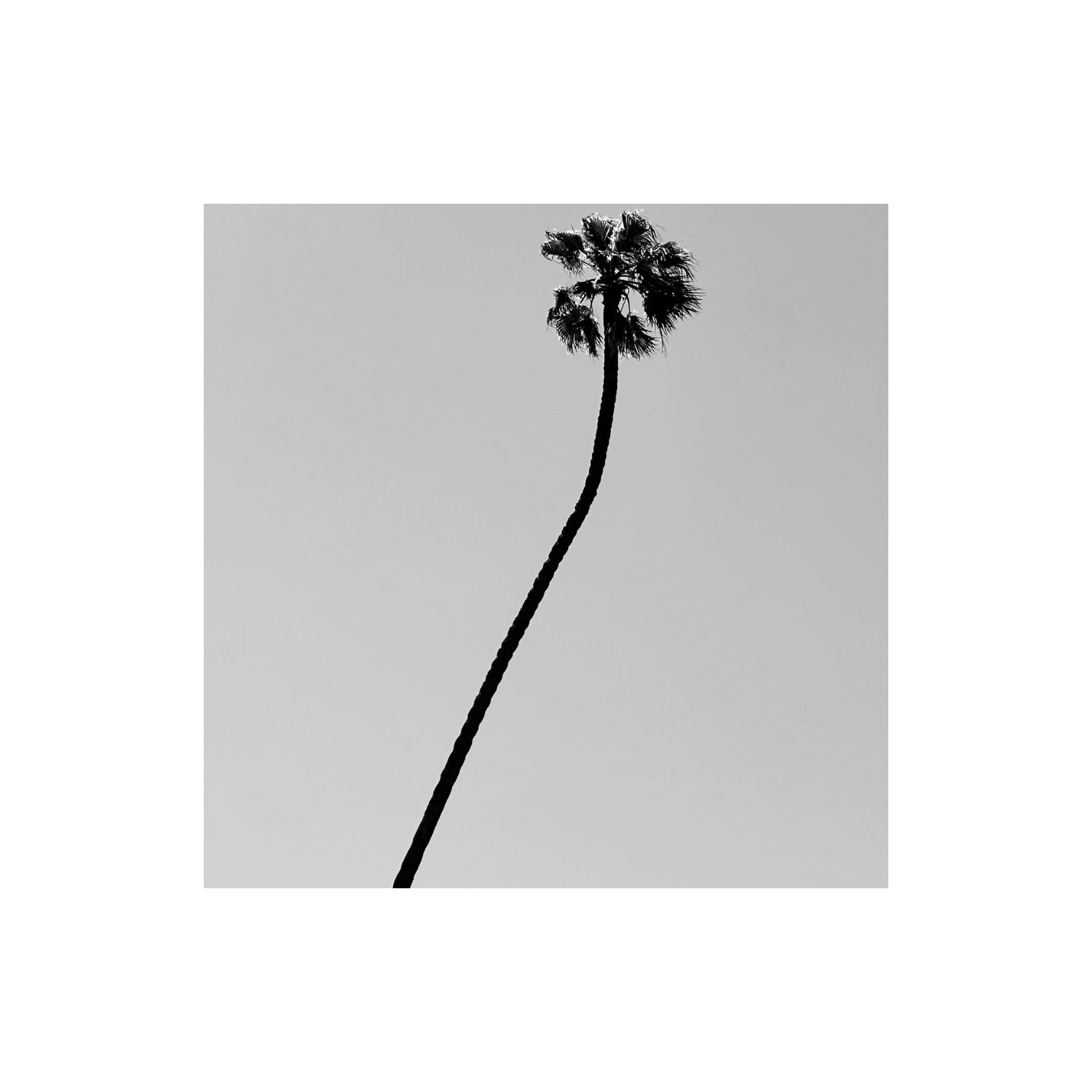 AA Test Square